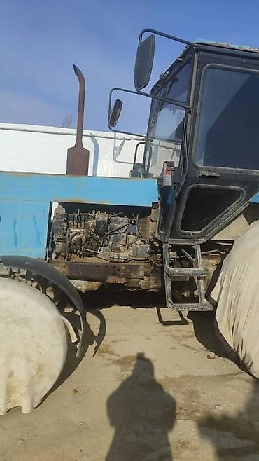 Другие тракторы: МТЗ трактор 82.1 Состояния хороший Обмен нету только наличии — 1