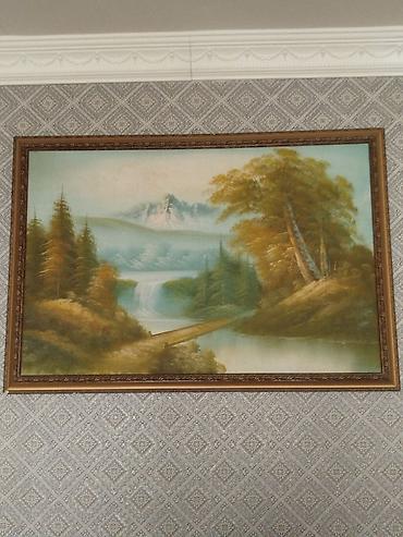 Tovuz quşları: Məhsul: Tovuzquşu (erkək) Təsvir: - Parlaq mavi boyun və döş, geniş — 8