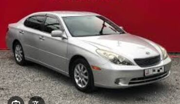 амортизаторы на тайота виндом 30: Toyota Windom: 2005 г., 0.3 л, Автомат, Бензин, Седан