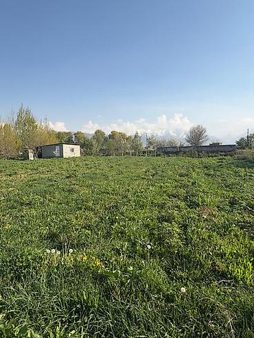 токмок пакровка дом купит: 15 соток, Для строительства, Красная книга, Договор купли-продажи — 1
