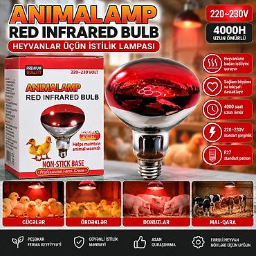 mandalin ordek: ANIMALAMP Red Infrared Bulb – heyvanlar üçün istilik lampası - — 1