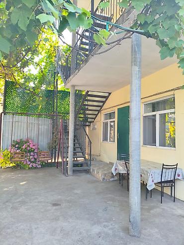 bine savxozda satilan heyet evleri: 55 kv. m, 4 otaqlı, İnternet, Su, Artezian quyusu — 1