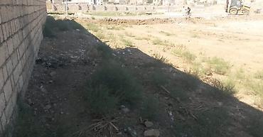 torpaq kreditle: Kənd təsərrüfatı, Kupça (Çıxarış) — 2