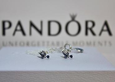 Бижутерия: Очаровательный набор с птичками 🕊️ от Pandora🥰 Серебро 925 проба😍 — 5