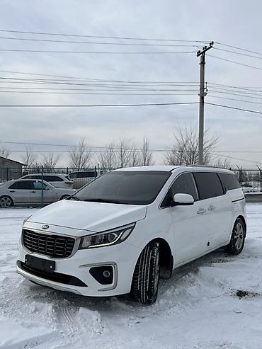Kia: Kia Carnival: 2019 г., 2.2 л, Минивэн — 2