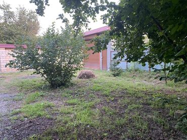 Bağ evlərinin satışı: Bakı, 1200 kv. m, 5 otaqlı, Hovuzsuz, İnternet, Artezian quyusu, Su -da lalafo.az — 17 Bağ evlərinin satışı: Bakı, 1200 kv. m, 5 otaqlı, Hovuzsuz, İnternet, Artezian quyusu, Su — 17