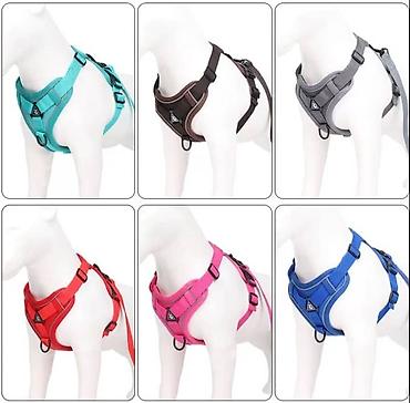 Зоотовары: ПРОДАЮ КОШАЧЬЮ МЯТУ(АНТИСТРЕСС),ПОРАДУЙТЕ СВОГО КОТИКА ТАКОЙ — 2