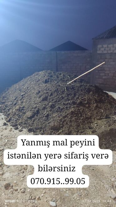 deve tikani toxumu: Məhsul: Yanmış mal peyini Təsvir: - Təbii, tam fermentləşmiş (yanmış)