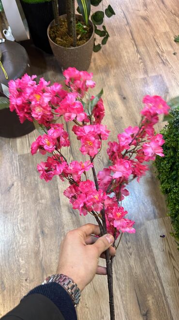 Digər ev dekoru: 7 man baslayan qiymetler Depodan bir basa satis Mehsulkari olkeye — 5