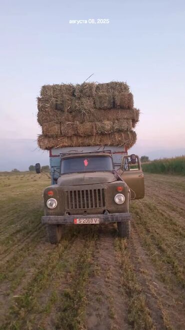 ГАЗ: ГАЗ : 1987 г., 4.2 л, Механика, Бензин, Пикап — 5