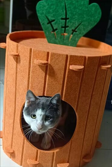 Зоотовары: Домик для котика. Материал типо войлока. Лёгкий, удобный. Коты не — 10