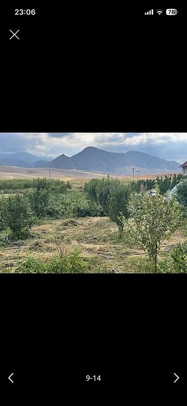 Теплицы: Тепличный комплекс каркасного типа - Арочные теплицы на металлическом — 9