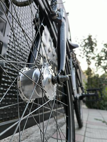 Городские велосипеды: Велосипед из Германии. Это модель "Prince Streetcoach" относится к — 5