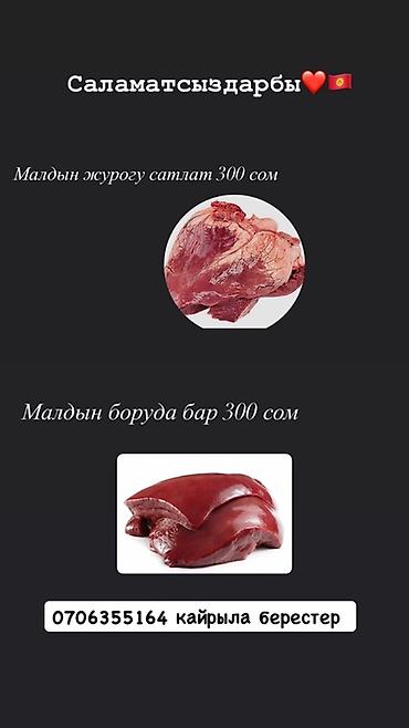 сом рыба: Говяжьи субпродукты.

- Сердце — 300 сом
- Печень — 300 сом — 1
