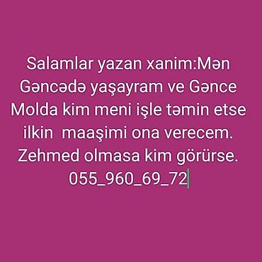 model işi axtarıram: Xidmətin təsviri: Gəncə şəhərində iş axtaran xanım. Gəncə Mall — 1