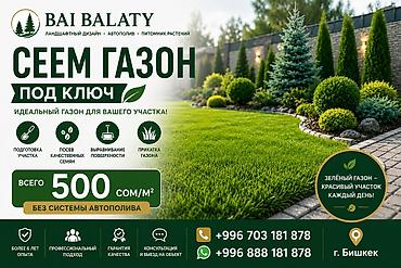 Сеем газон под ключ — идеальный газон для вашего участка. Что входит