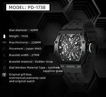Ručni satovi: Pagani Design PD-1738 -Crna/Full Black -Richard Mille Homage Potpuno — 9