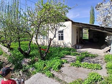 Продажа дач: Продаётся участок с небольшим одноэтажным домом и хозпостройками в — 1