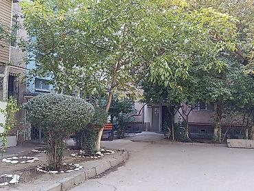 гоголя моссковская: 2 комнаты, 43 м², Центральная мечеть 104 серия, 2 этаж — 2