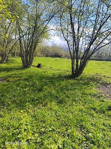 Torpaq sahələrinin satışı: Azərbaycanın ən gözəl guşələrindən biri olan Oğuz rayonu Xaçmaz — 23