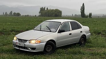 Toyota: Toyota Corolla: 2001 г., 1.8 л, Автомат, Бензин, Седан — 13