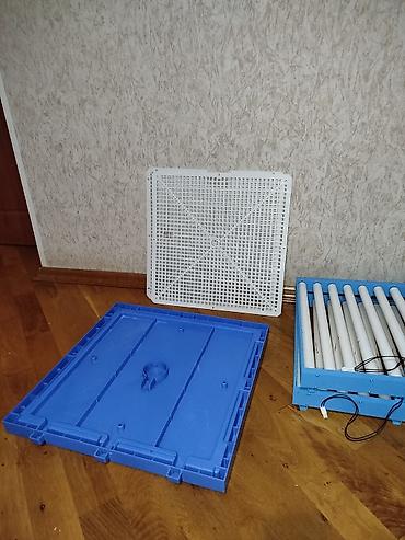 Avtomobil akkumulator zaryadkalari: 128 yumurta tutumlu inkubator. 3 dəfə istifadə olunub 128 yumurtadan — 5