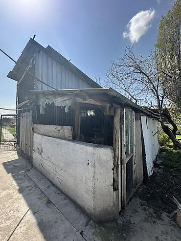 Продажа коттеджей и домов: 📍В Сокулуке в районе птицефабрики от трассы 500 м продается дом на — 4