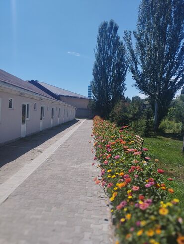 Иссык-Куль 2025: Номер, НЕПТУН Детская площадка, Футбольное поле, Парковка, стоянка — 19