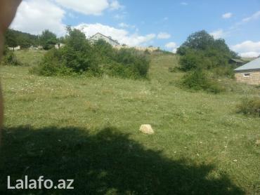 xırdalan torpaq satışı: Tikinti, Mülkiyyətçi, Kupça (Çıxarış) — 4