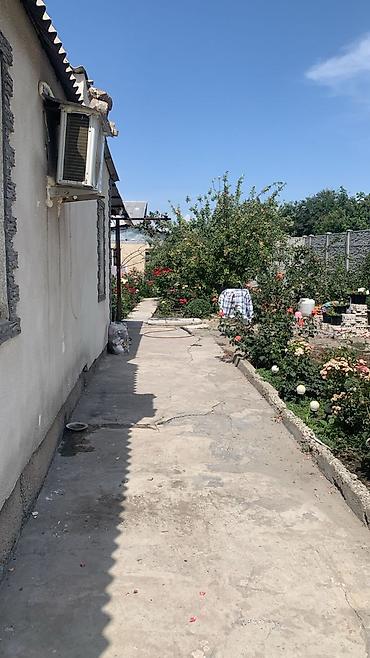 арзан ал: ПРОДАЁТСЯ УЮТНЫЙ ДОМ В с. ДОСТУК Ухоженный дом на участке 5 соток — 5