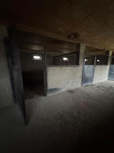 Продажа коттеджей и домов: 🔷 Продаётся дом в с. Сокулук 📍 Ул. Калинина 🔷 Дом: 	•	66,8 м², 4 — 10