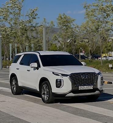 строб контроллер: Hyundai Palisade: 2019 г., 2.2 л, Автомат, Дизель, Внедорожник — 6