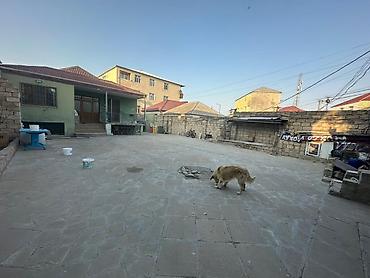 sulutəpədə satılan evlər: 4 otaqlı, 120 kv. m, Kredit yoxdur, Orta təmir — 4