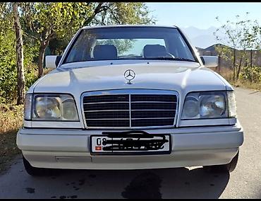 Mercedes-Benz E-Class: 1995 г., 2.2 л, Бензин, Универсал