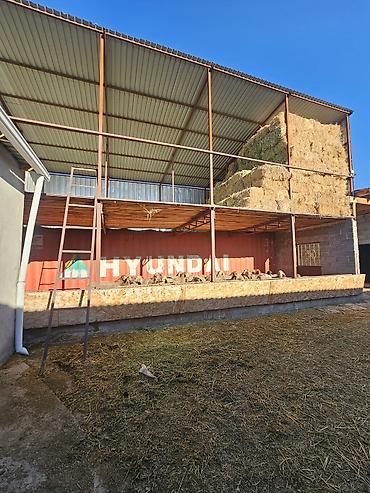 Продажа коттеджей и домов: Продается современный кошар с домом в селе Чокморов 💸=480.000$+торг — 7