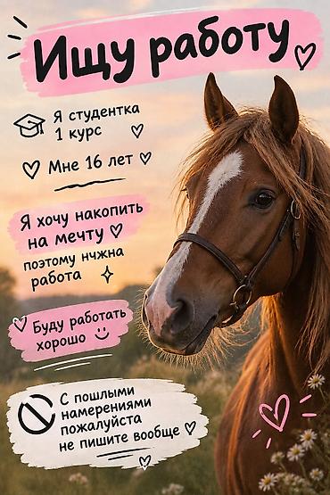 студентов: Ищу работу - Студент, Без опыта — 1