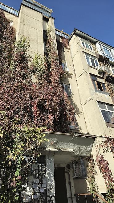 квартира бериоет: 2 комнаты, 48 м², Филармония Индивидуалка, 3 этаж, Старый ремонт — 1