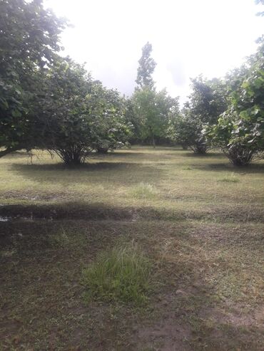 Torpaq sahələrinin satışı: 20 sot, Tikinti, Mülkiyyətçi, Kupça (Çıxarış), Müqavilə — 8