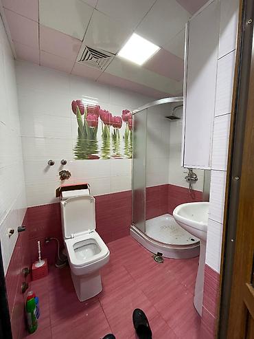 Yeni tikili: 2 otaqlı, Yeni tikili, 54 kv. m -da lalafo.az — 14 Yeni tikili: 2 otaqlı, Yeni tikili, 54 kv. m — 14