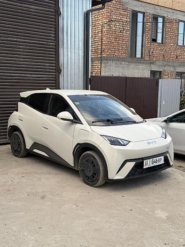 BYD: BYD Seagull: 2025 г., Робот, Электромобиль, Хэтчбэк — 6