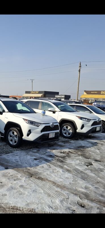 Toyota: Toyota RAV4: 2020 г., 2.5 л, Автомат, Гибрид, Кроссовер