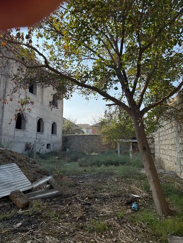 Bağ evlərinin satışı: Bakı, Mərdəkan, 800 kv. m, 8 otaq, Hovuzsuz, Qaz, İşıq, Su -da lalafo.az — 28 Bağ evlərinin satışı: Bakı, Mərdəkan, 800 kv. m, 8 otaq, Hovuzsuz, Qaz, İşıq, Su — 28