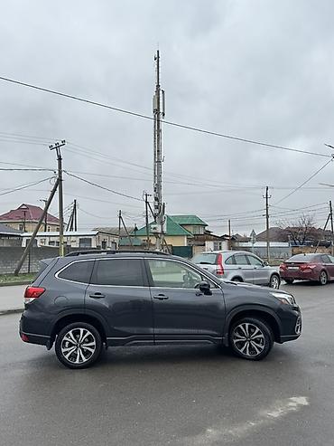 Subaru: Subaru Forester: 2019 г., 2.5 л, Вариатор, Бензин, Кроссовер — 3