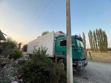 купить прицеп рефрижератор: Жүк ташуучу унаа, MAN