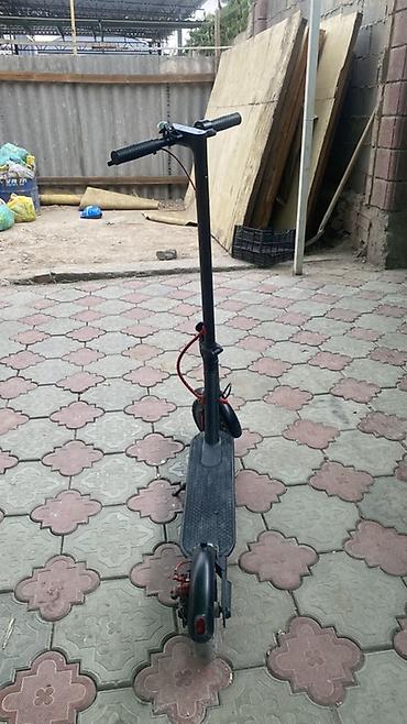Электросамокаты: Электросамокат, Новый — 18