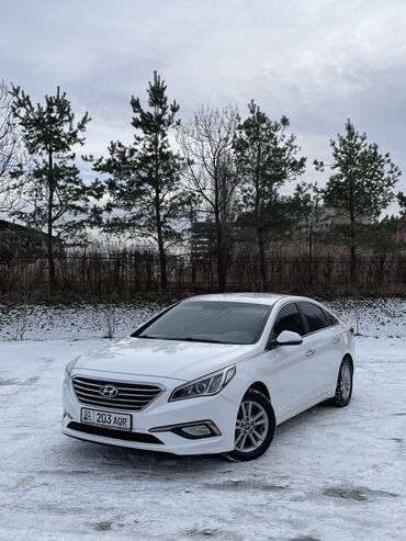 Hyundai: Hyundai Sonata: 2015 г., 2 л, Автомат, Газ, Седан