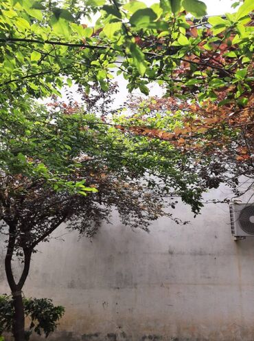 Həyət evləri və villaların satışı: 6 otaqlı, 165 kv. m — 8