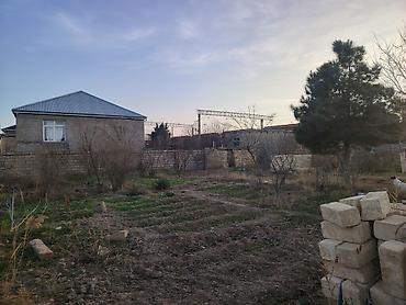 saray torpag: 12 sot, Mülkiyyətçi — 2