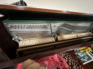 simli ped: Piano, Belarus, Akustik, İşlənmiş, Ünvandan götürmə, Ödənişli çatdırılma — 4