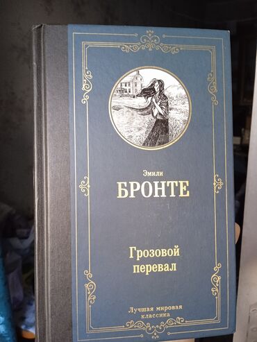 куплю бу книги: «Грозово́й перева́л»-единственный роман английской писательницы и